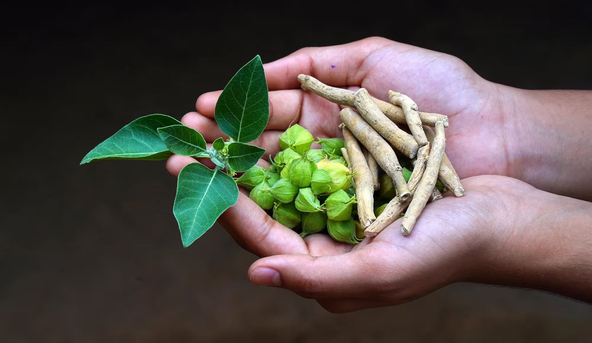 Ashwagandha